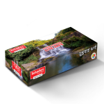 Bashundhara Facial Tissue (60 pcs X 2 ply, Perfumed)