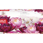 Bashundhara Facial Tissue Soft Pack
